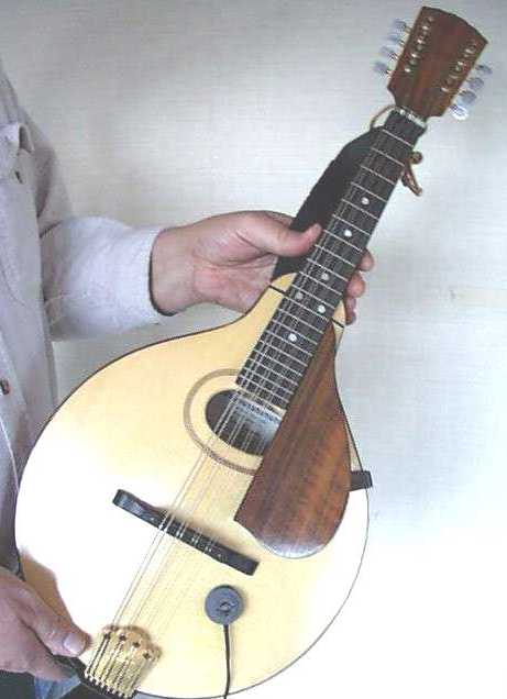 Mounted on Mandola