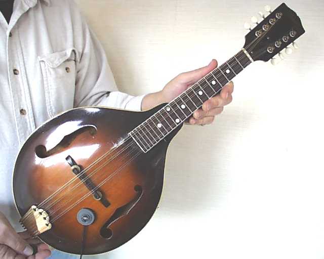 Mounted on Mandolin