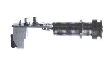 Marine Jack