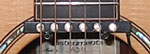 Pick Up the World Hybrid Poly-Mag Transducer for Guitar