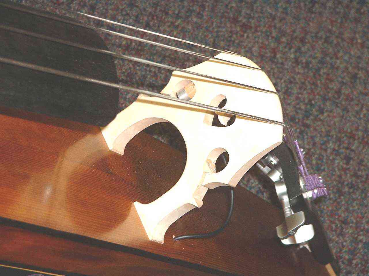 STAT mounted