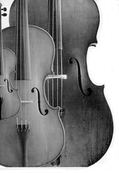 Bowed Instrument Family