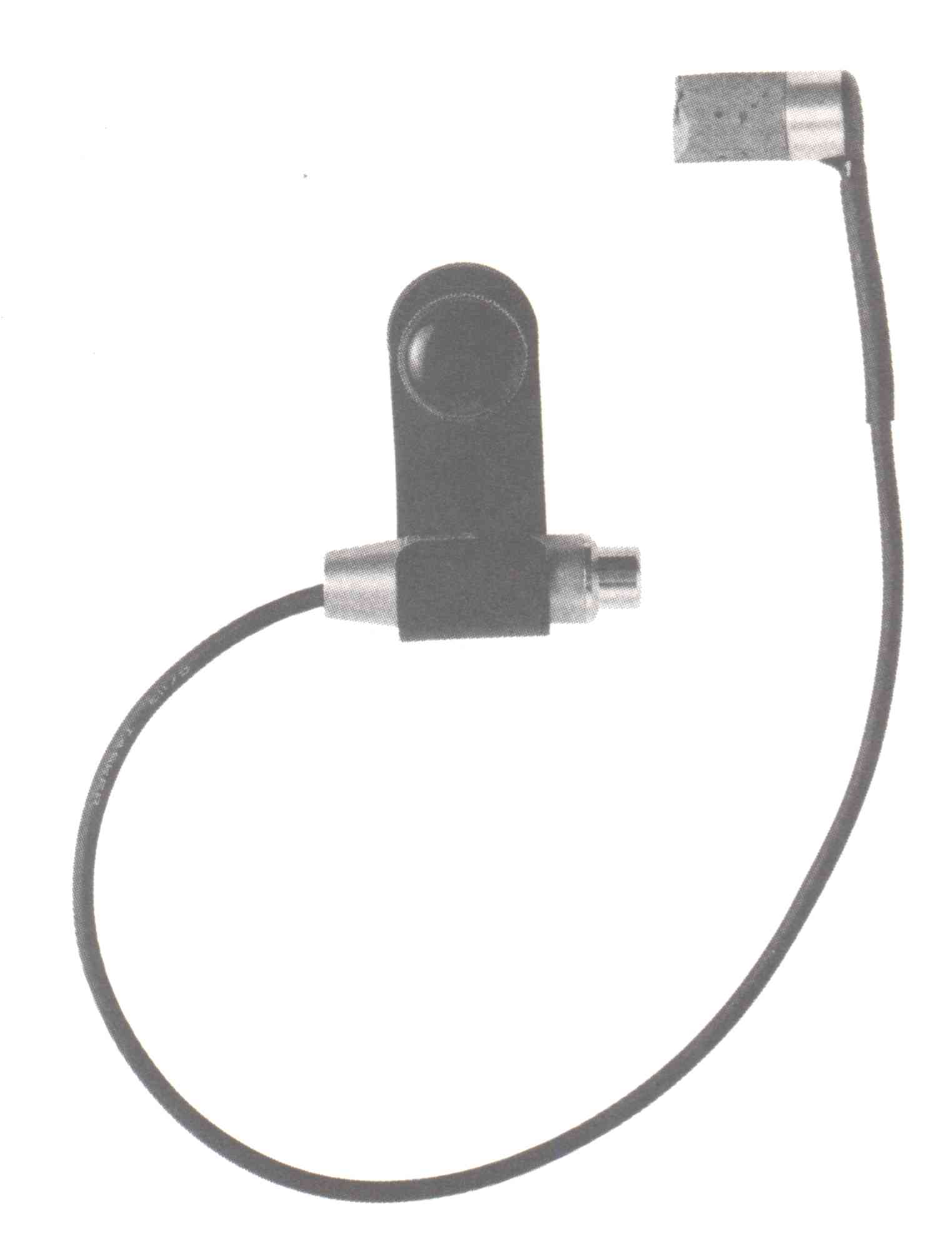 stat bass
