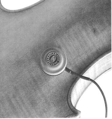 Transducer mounted